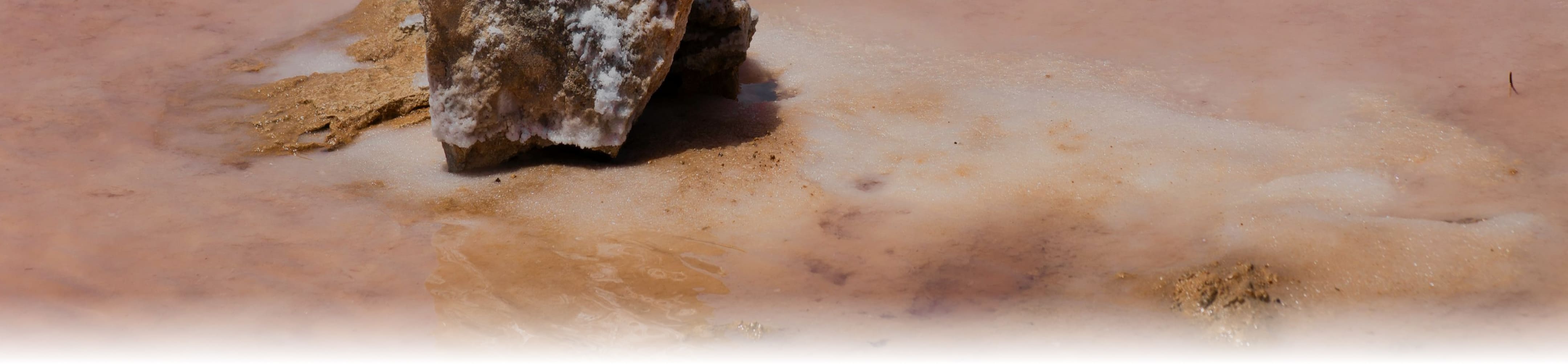 Baja Gold Minerals